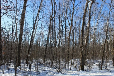 Milaca MN 40 Acre Land