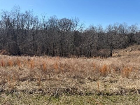 Scenic Willisburg Lake Land