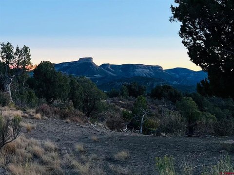 LAND, Mancos, CO