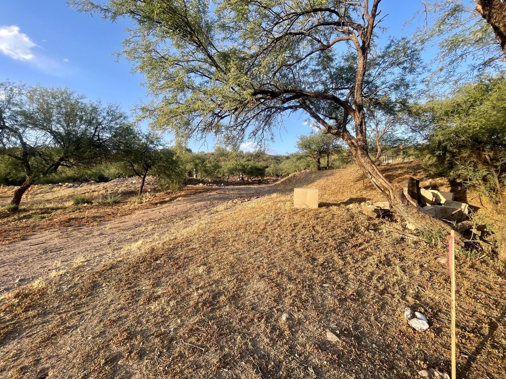 Picture 14