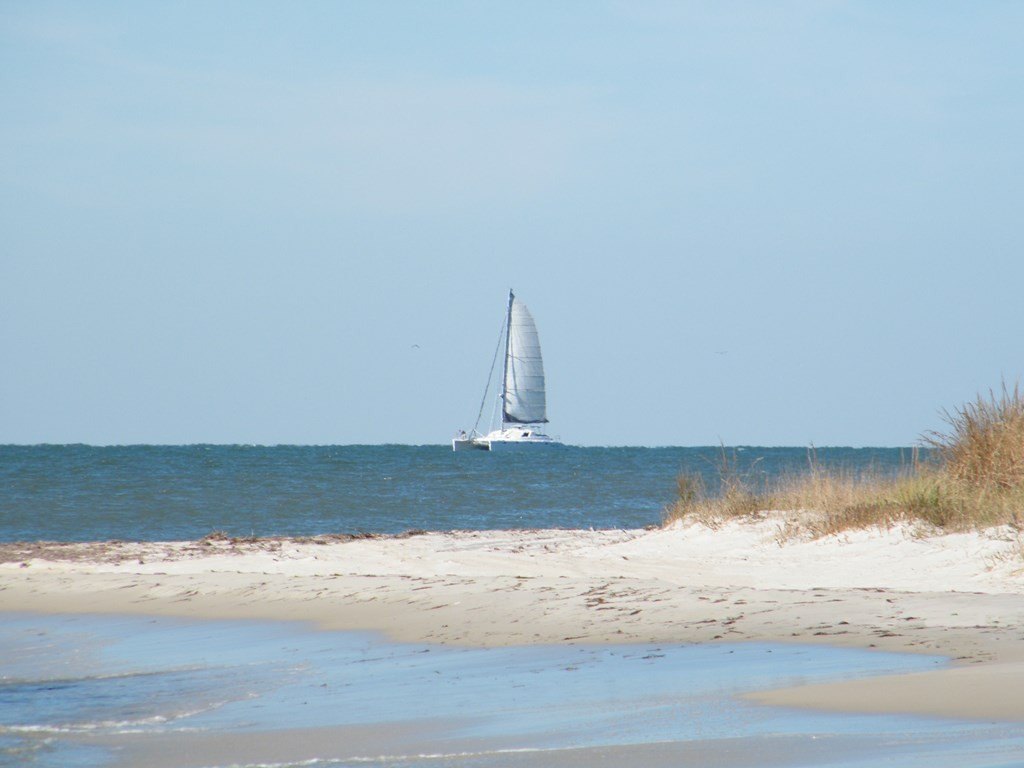 Picture 7