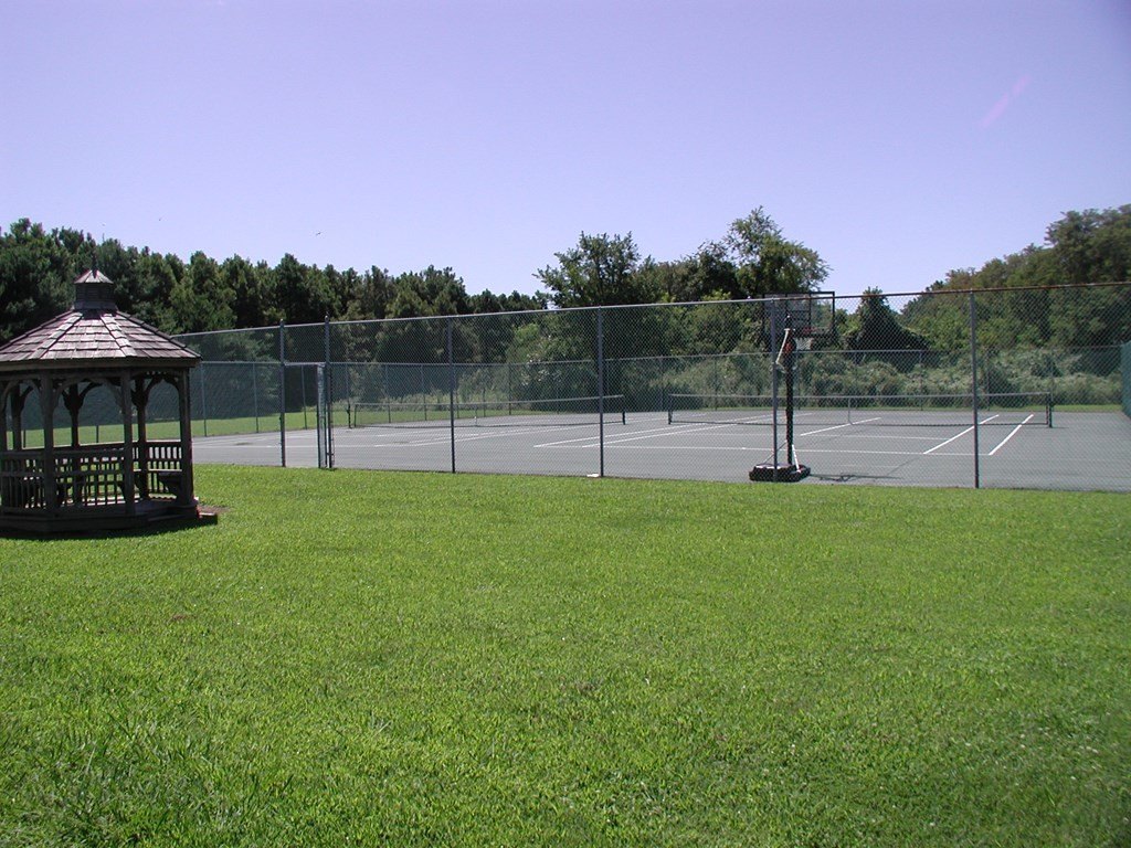 Picture 13