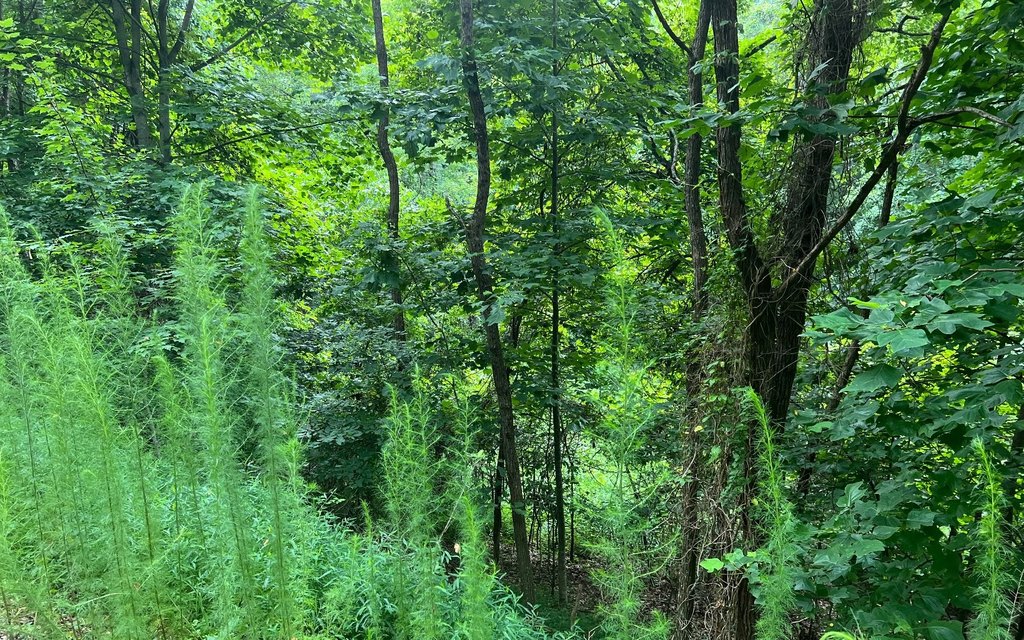 Picture 18
