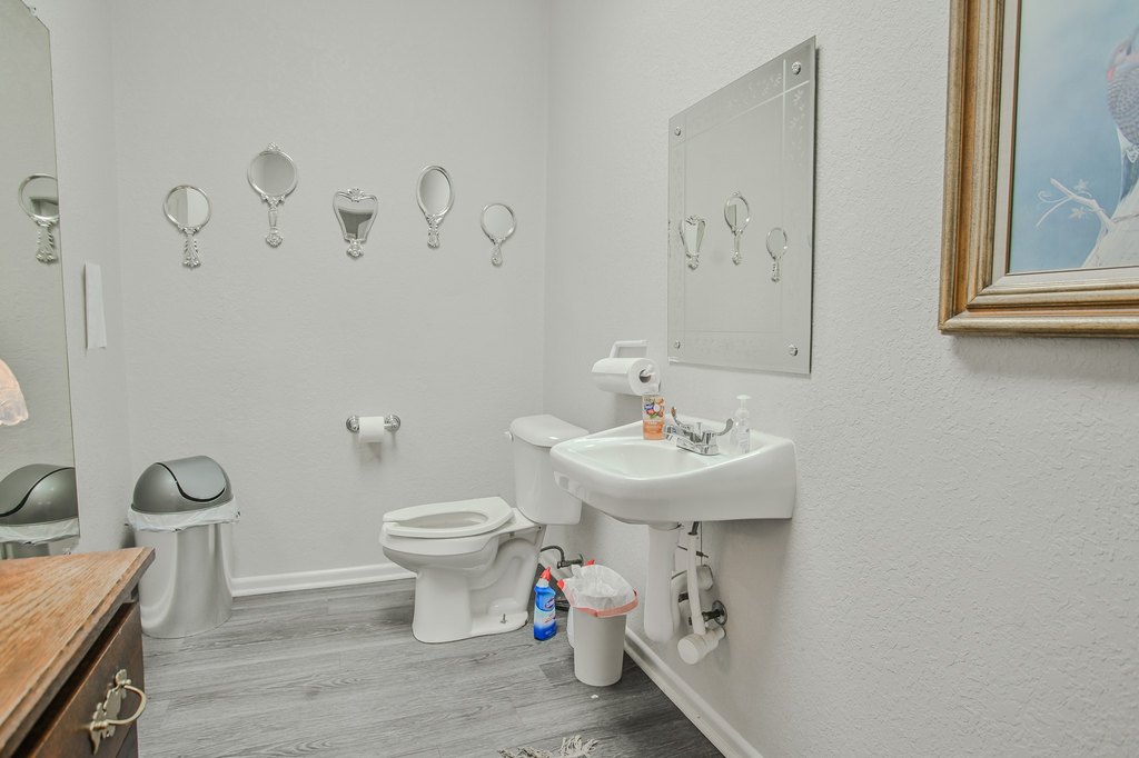 Picture 21