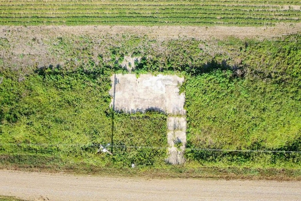 Picture 3