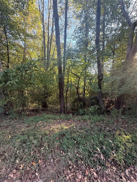 Picture 3