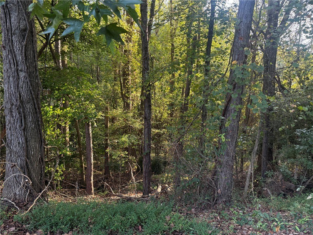 Picture 4