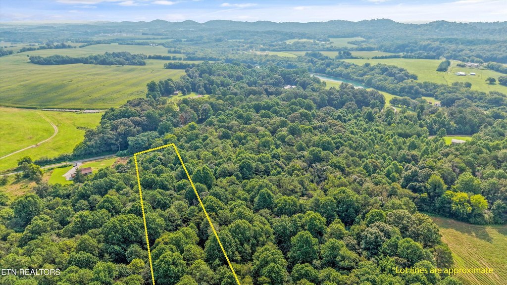 Picture 16