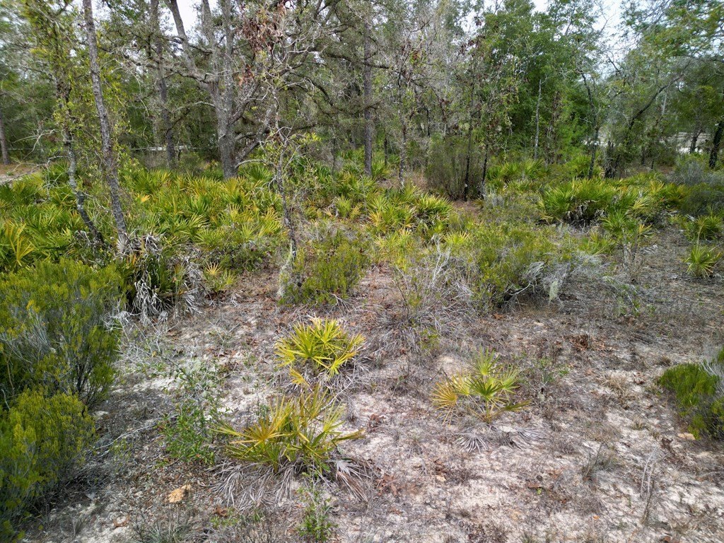 Picture 15