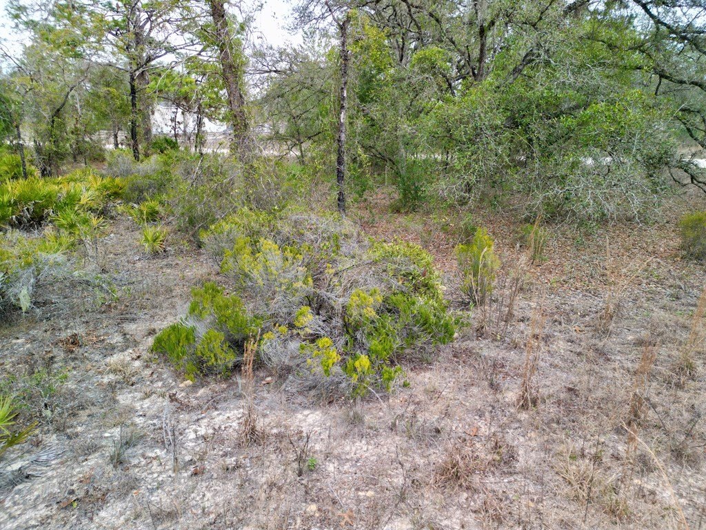 Picture 16