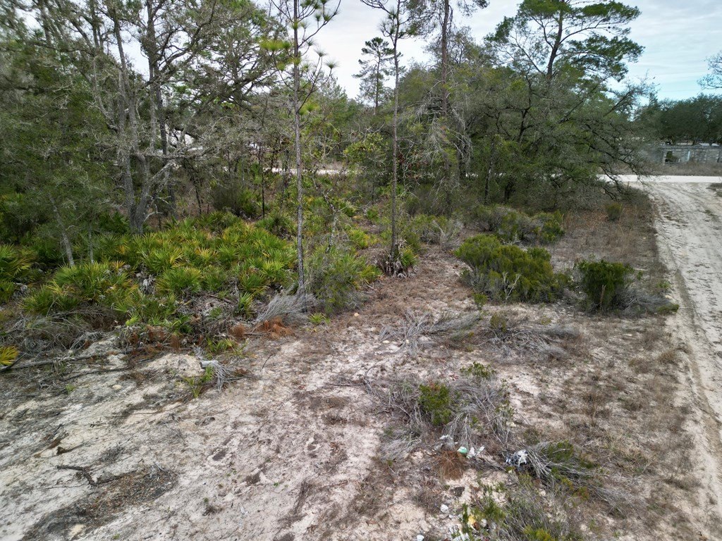 Picture 18