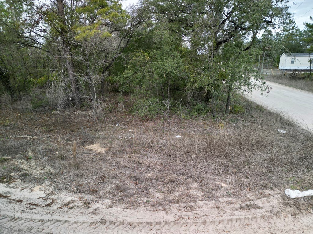 Picture 8