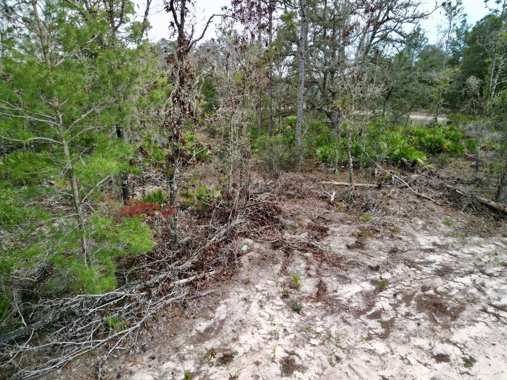 Picture 20