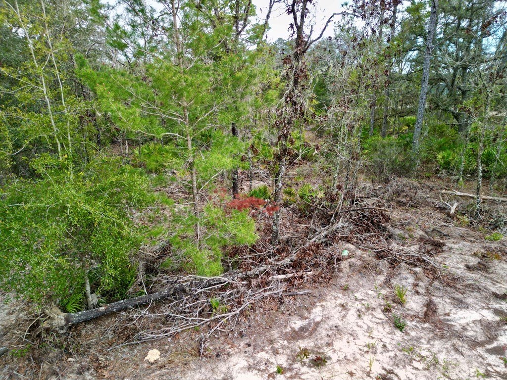 Picture 19