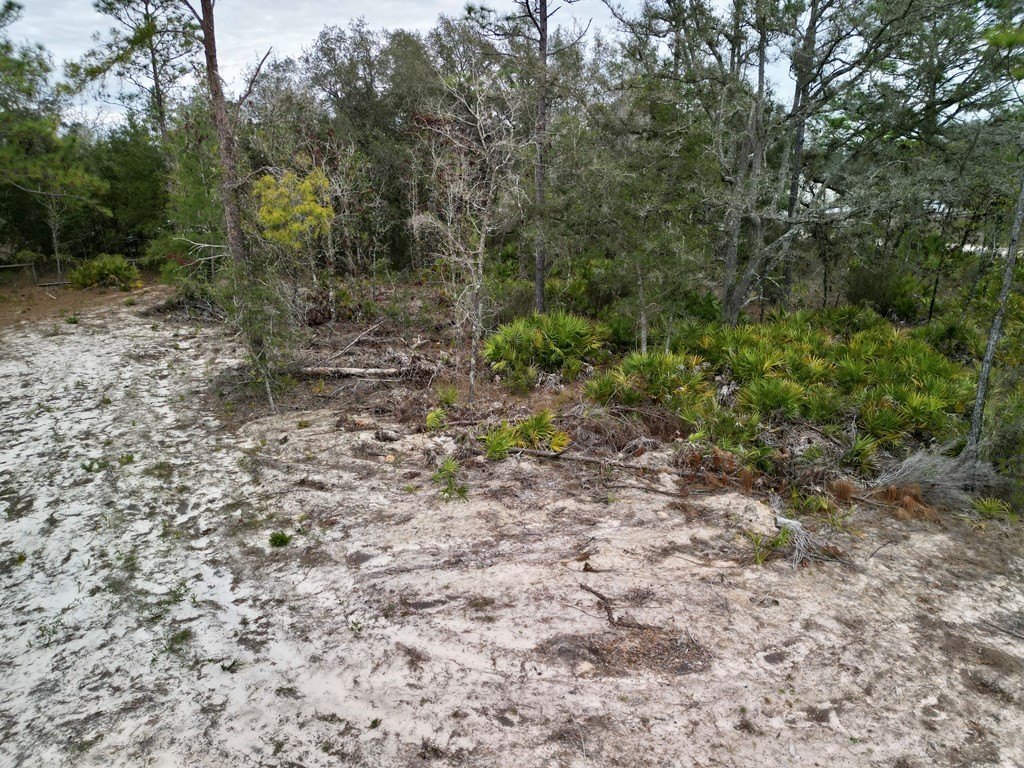 Picture 17
