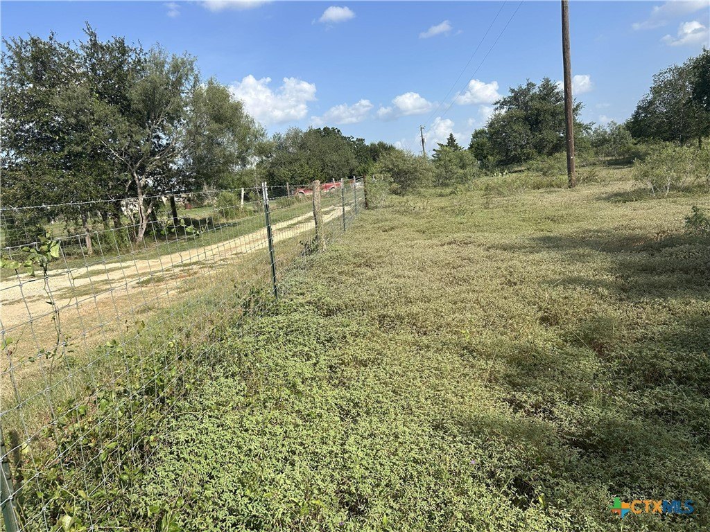 Picture 10