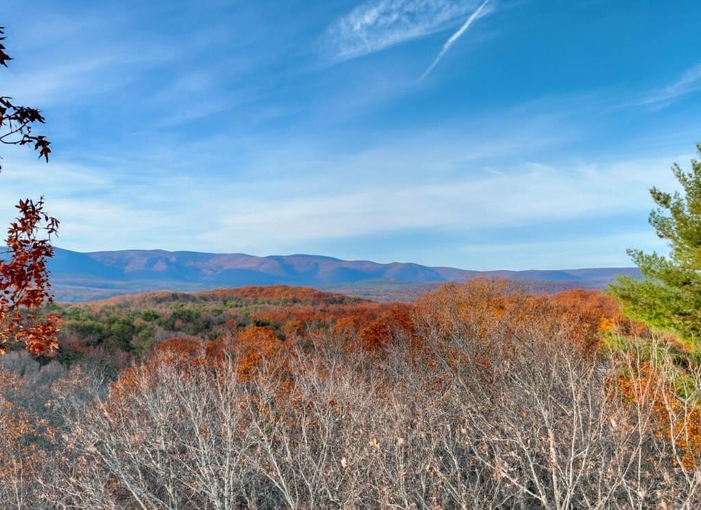 Ellijay Vacant Lot in Retreat