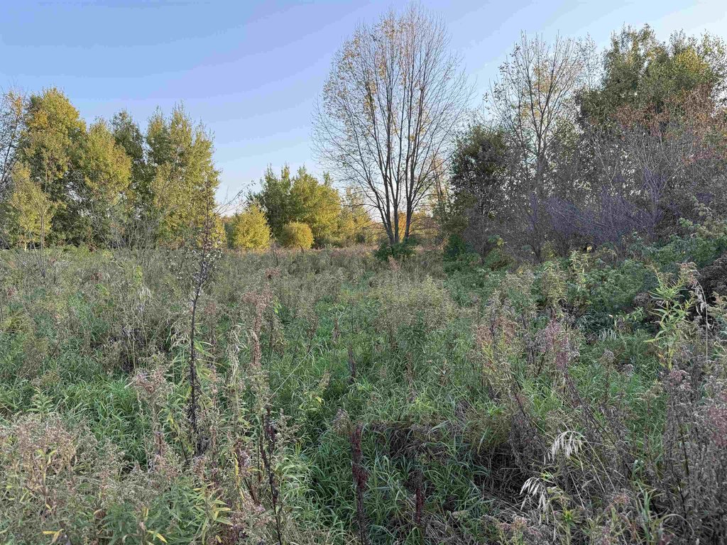 Picture 19