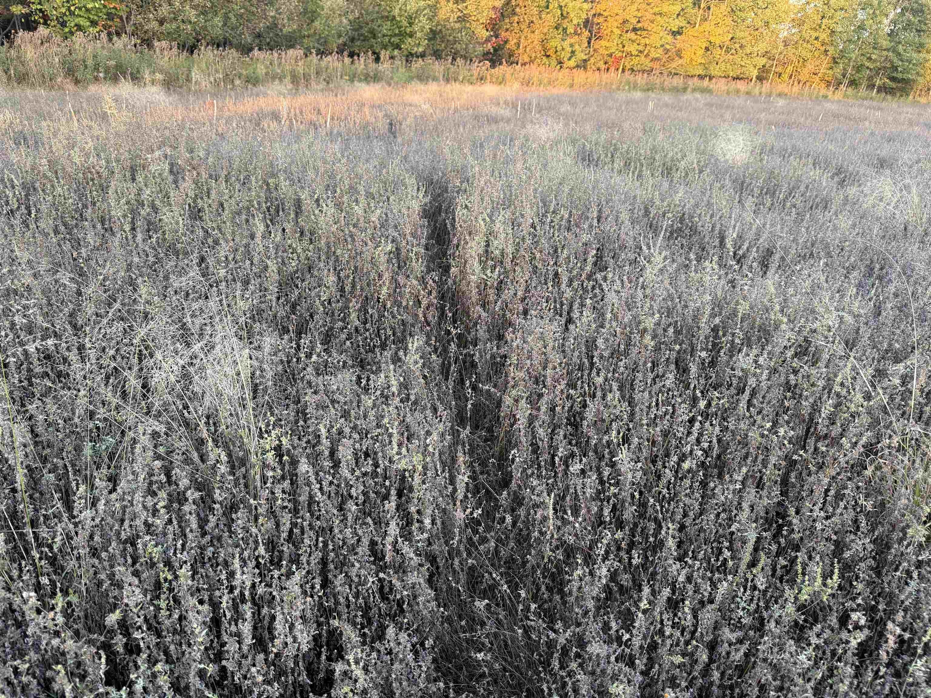 Aniwa Land Parcel For Sale