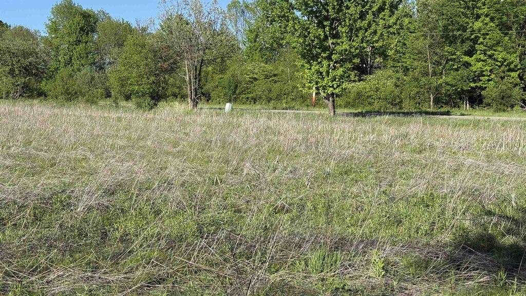 Picture 26