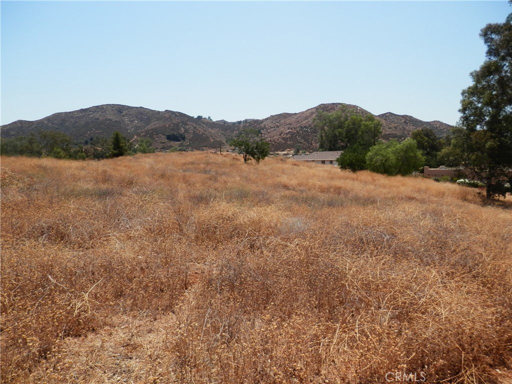 Picture 3