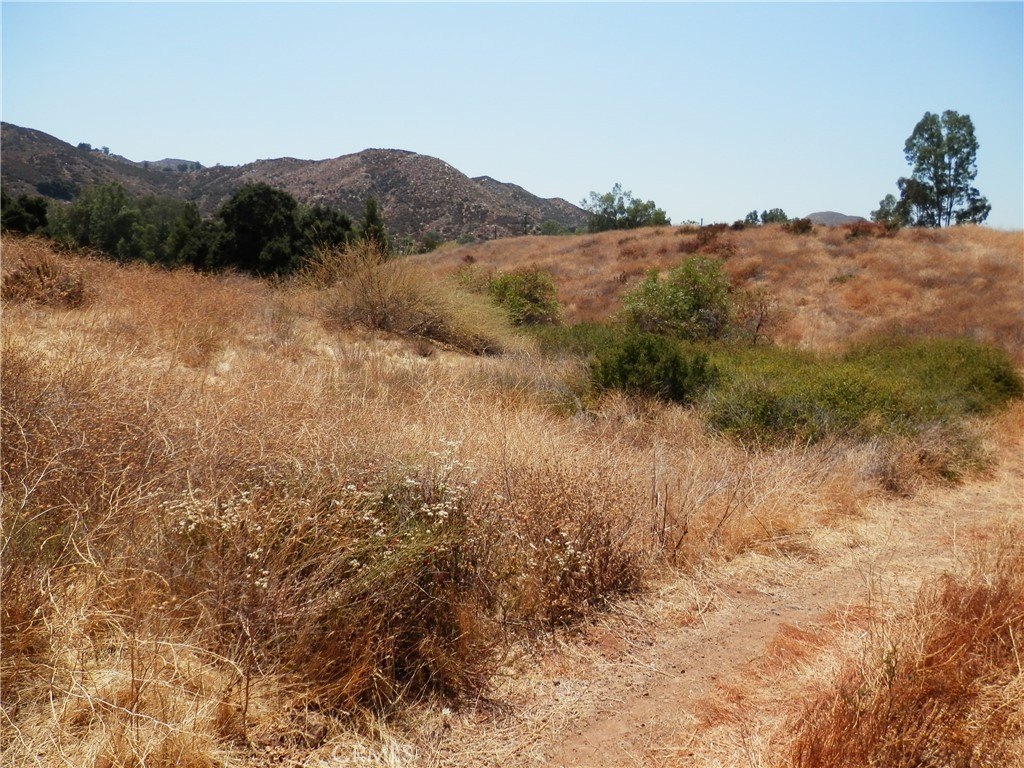 Picture 12