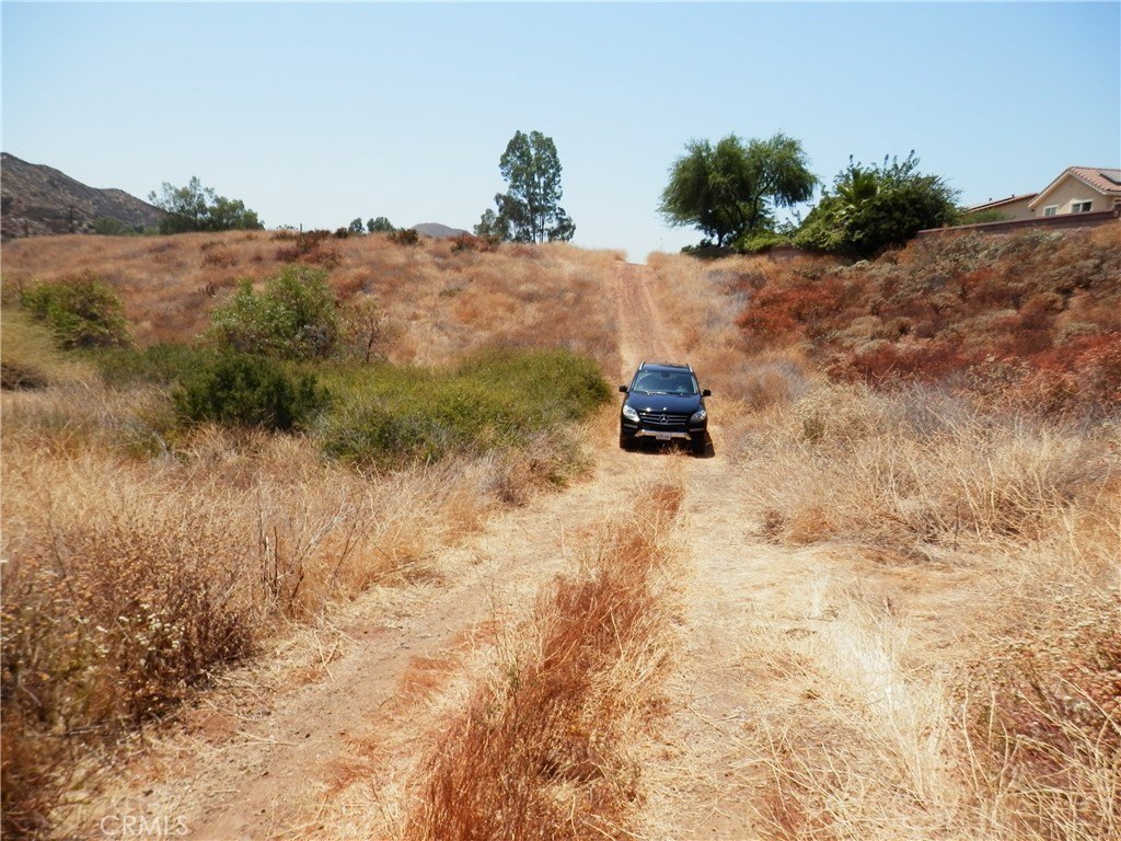Picture 13