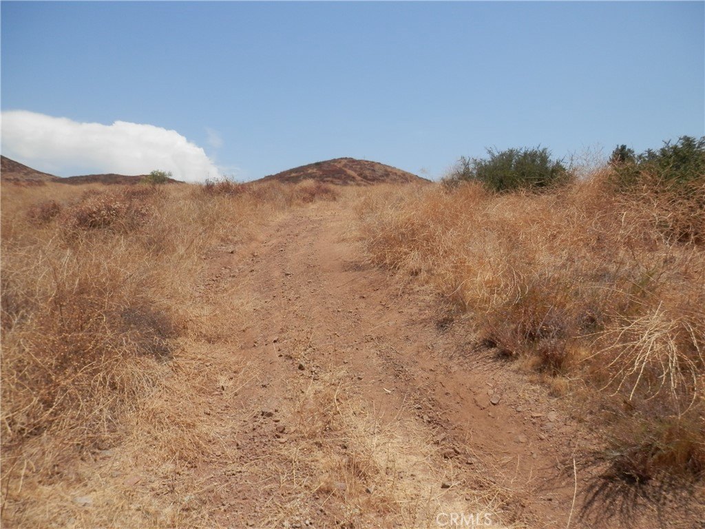 Picture 15