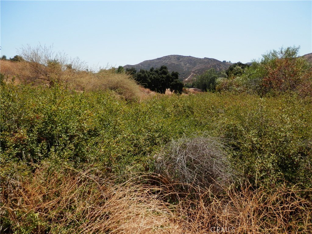 Picture 8