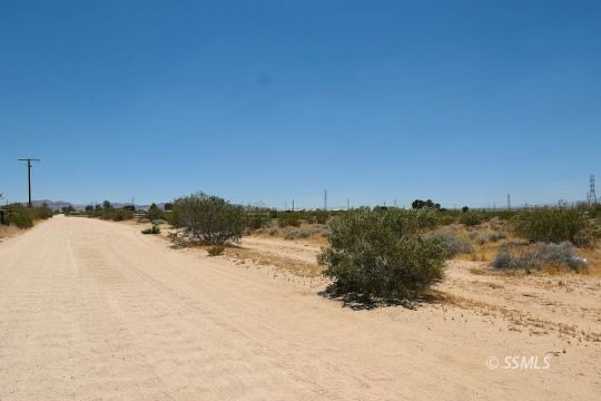 Picture 6