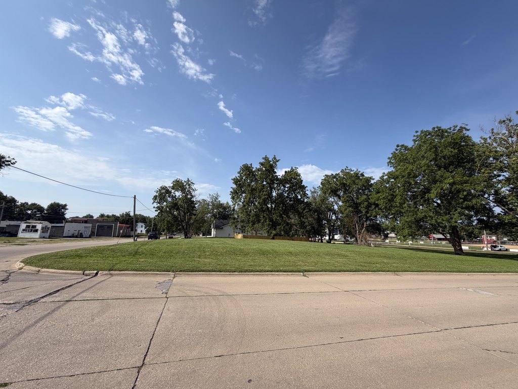 Picture 2