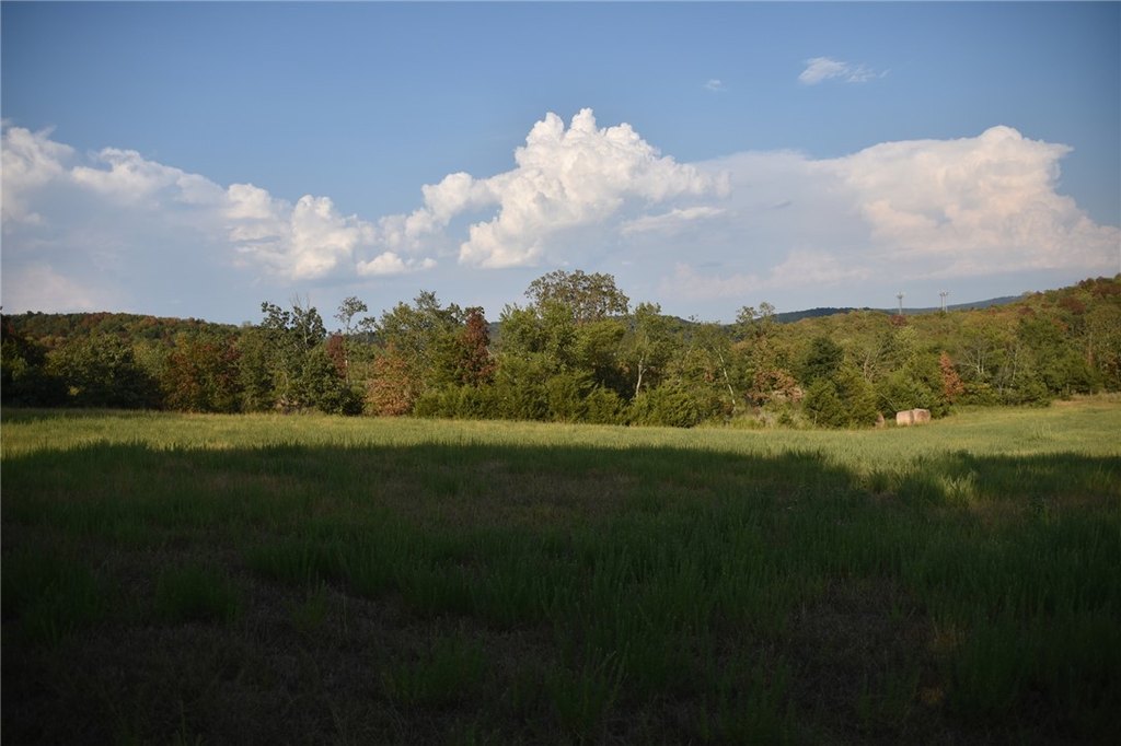 Picture 26