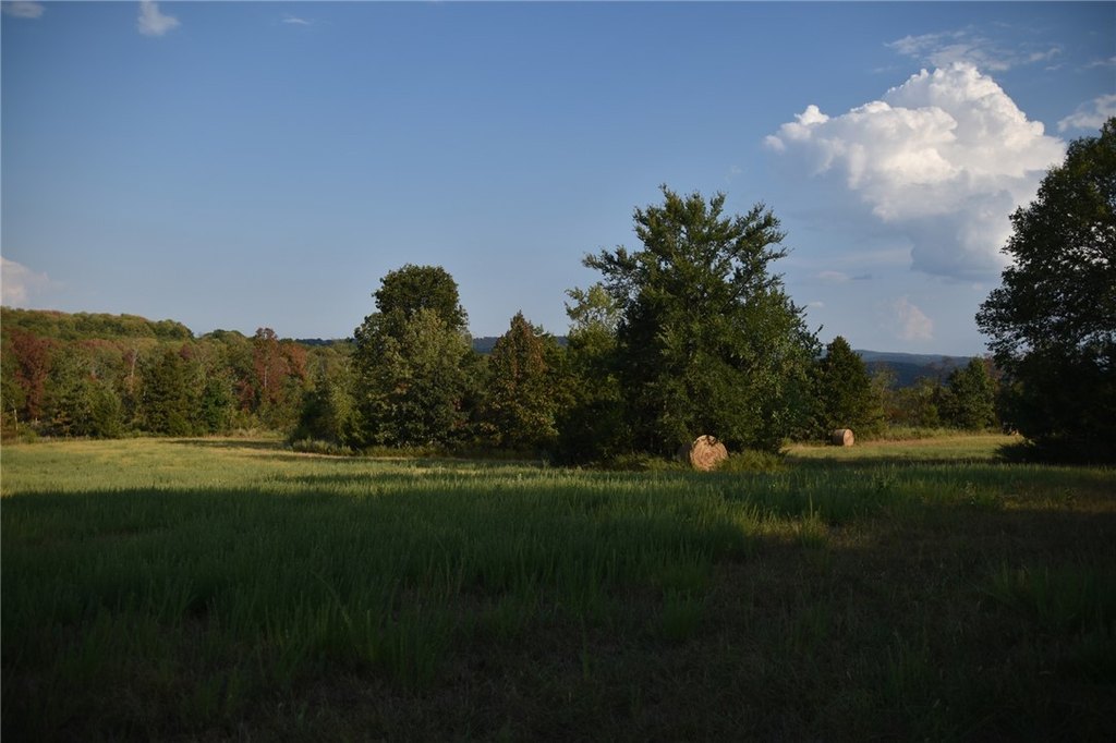 Picture 24