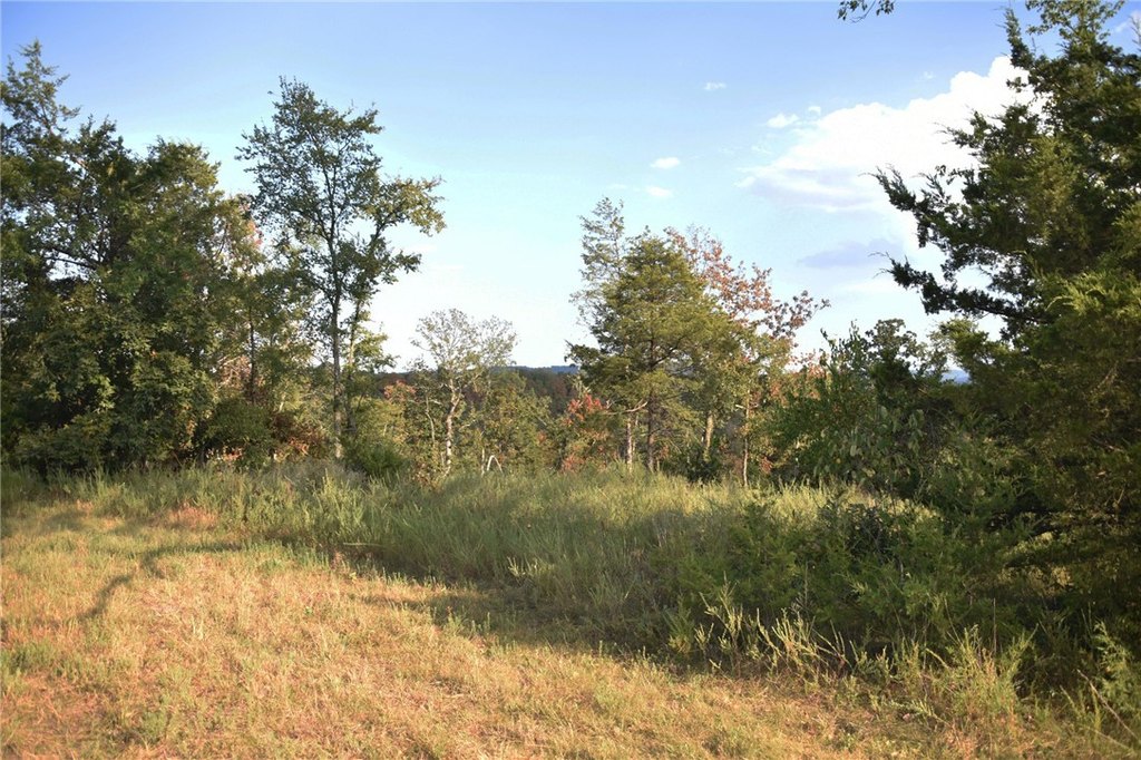 Picture 22