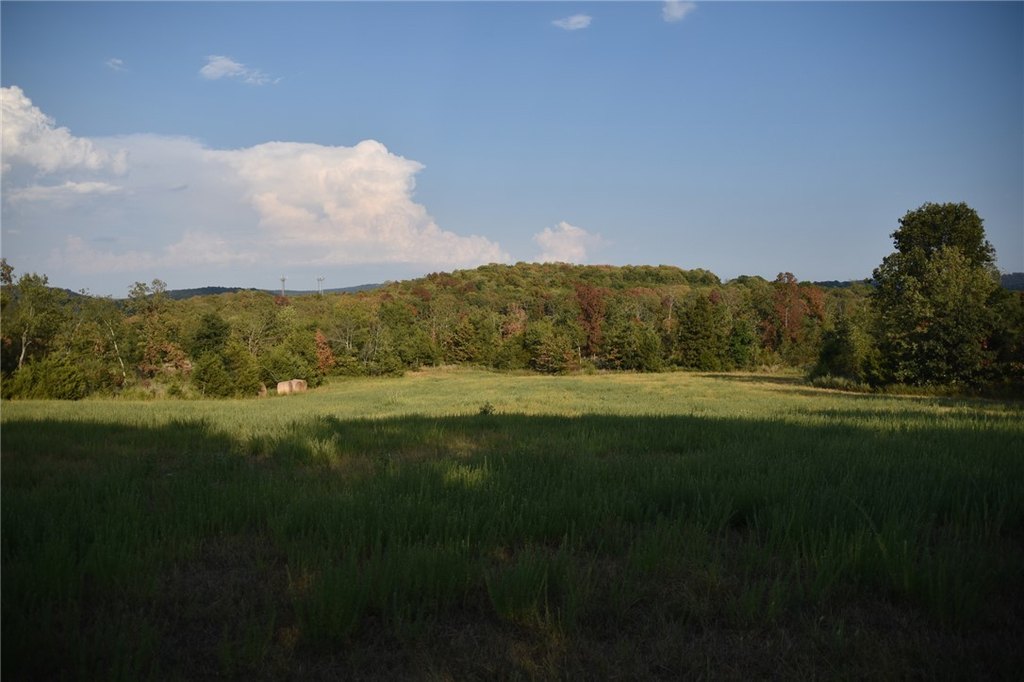 Picture 25