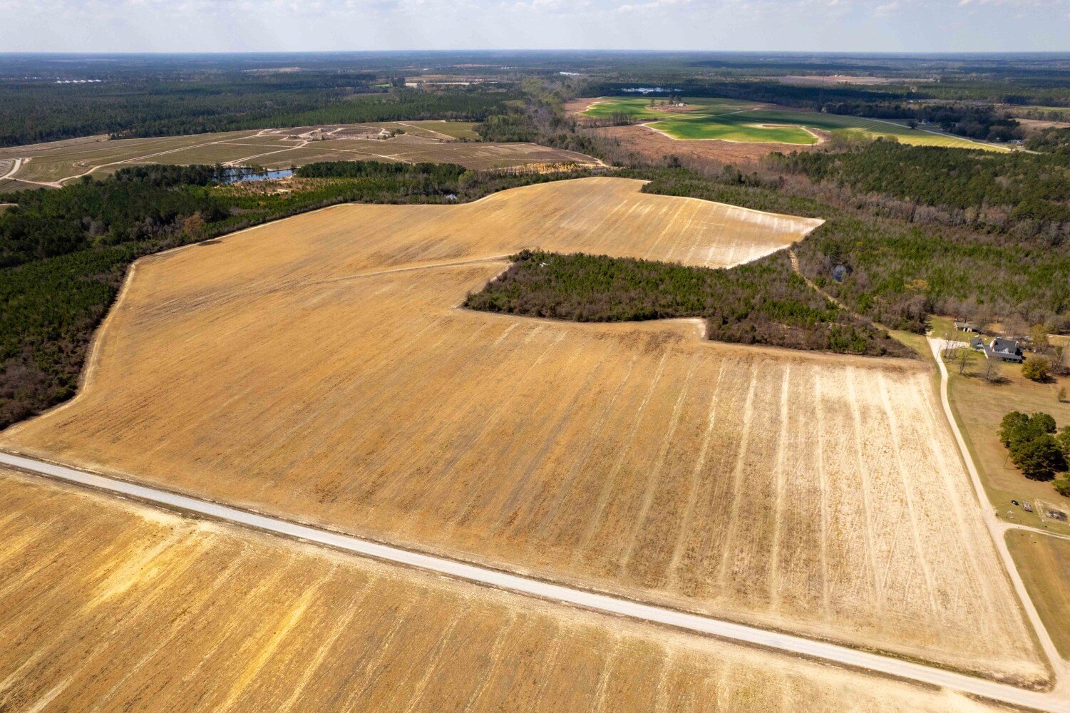 203 Acres Vacant Land