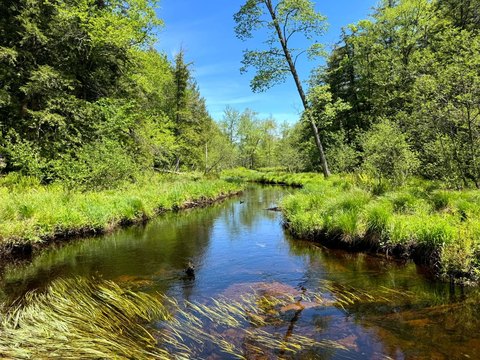 Waterfront Recreational Land