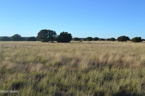 Land, Concho, AZ