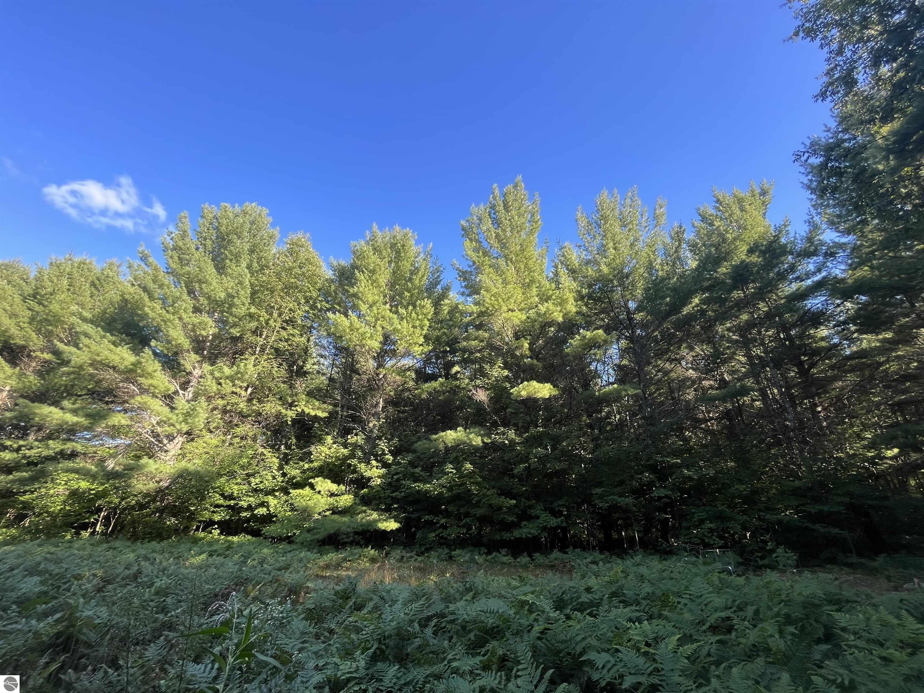 Fife Lake Vacant Land Cabin