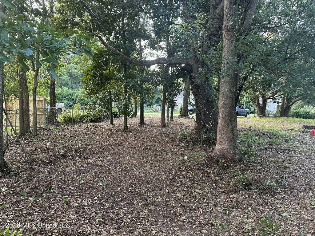 Picture 2