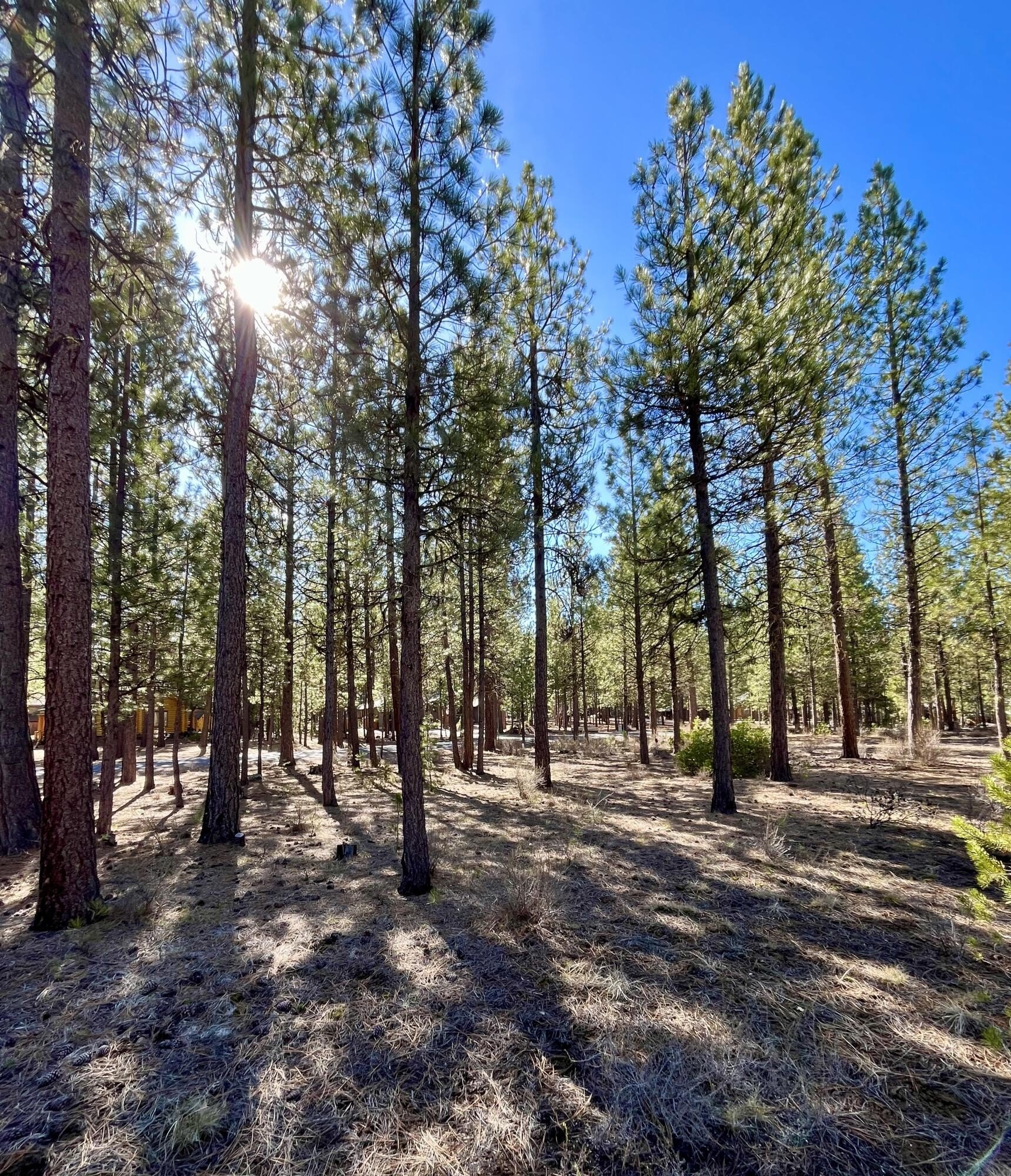 Buildable Lot Near Deschutes River