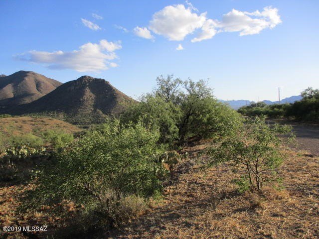 Land in Rio Rico, AZ