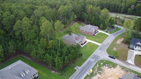 LOTS AND ACREAGE, Prosperity, SC