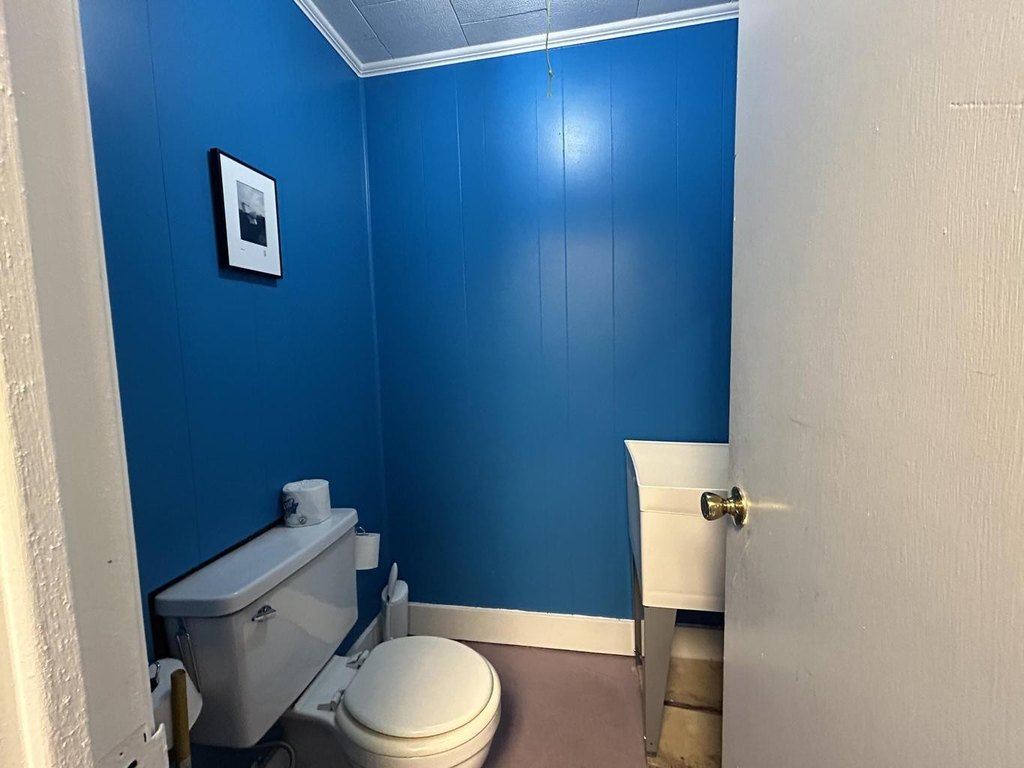 Picture 5