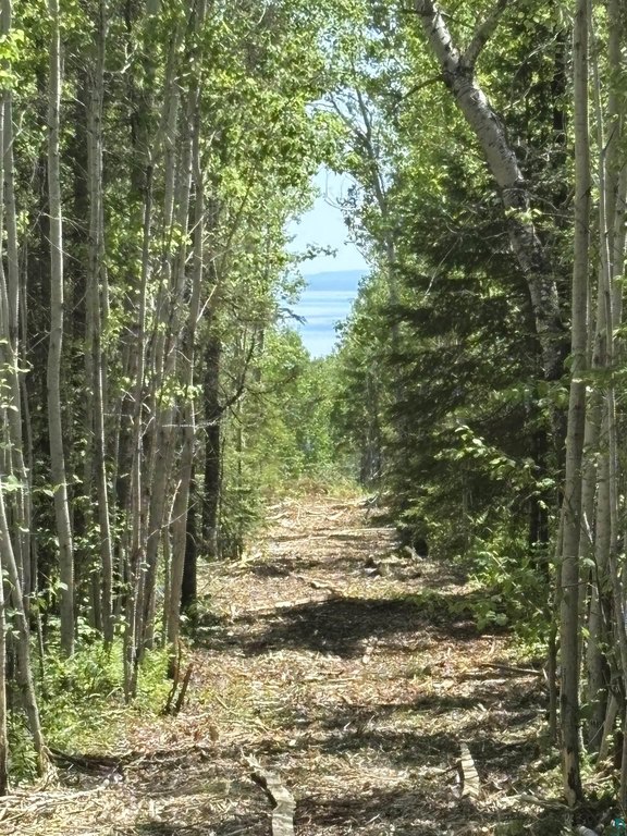 Picture 27