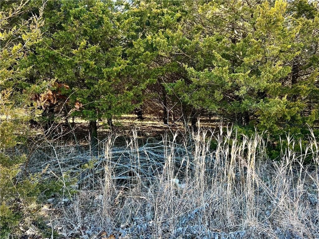 Picture 8