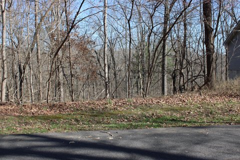 LAND - Eddyville, KY