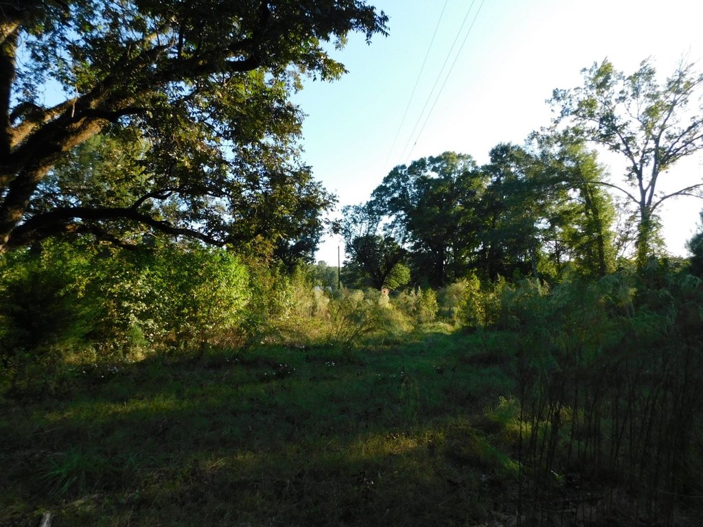 Picture 13