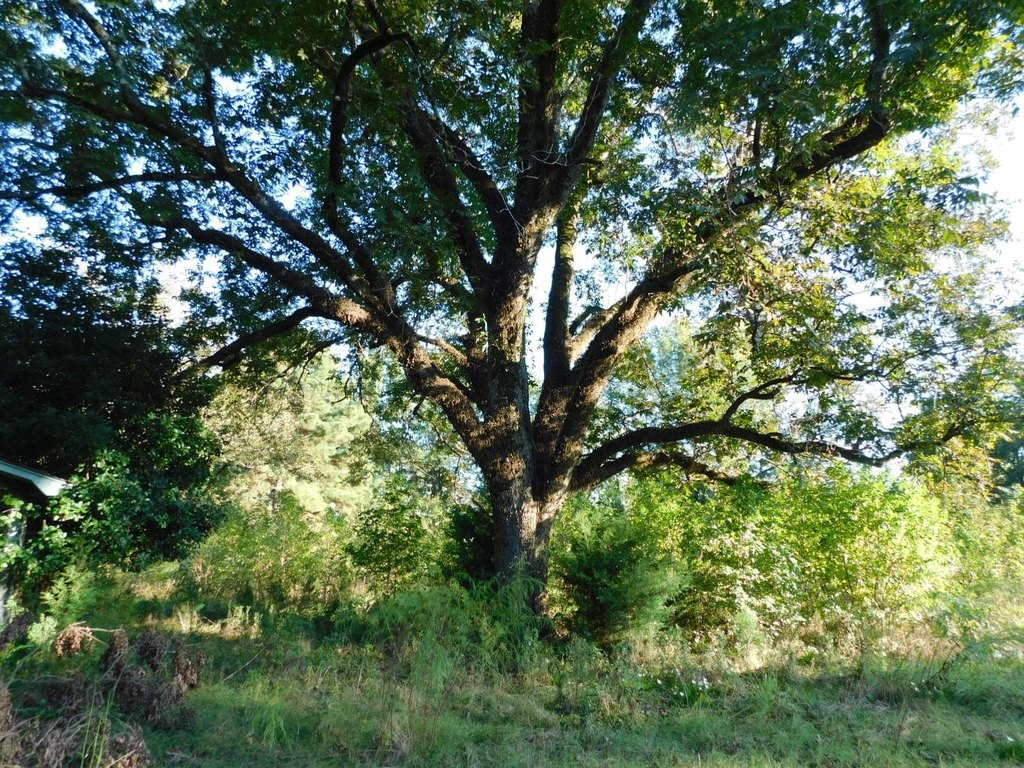 Picture 10