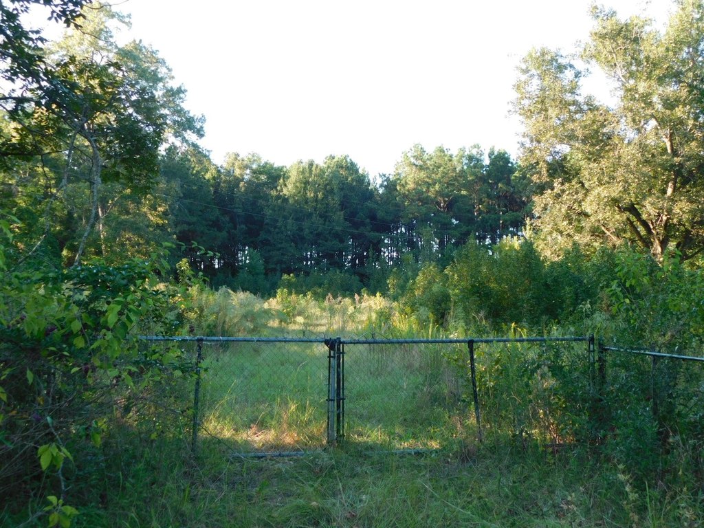 Picture 2